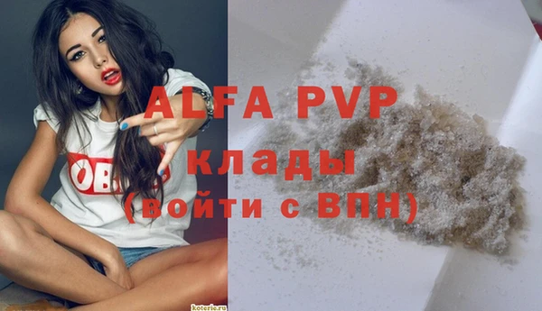 гидра Горно-Алтайск