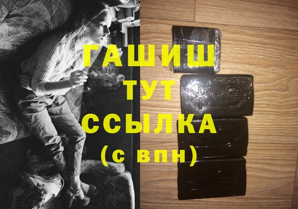 гидра Горно-Алтайск